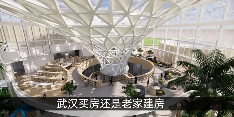 武汉买房还是老家建房