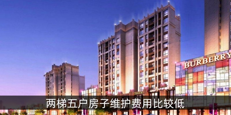 两梯五户房子维护费用比较低