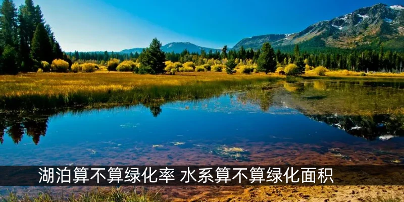 湖泊算不算绿化率 水系算不算绿化面积