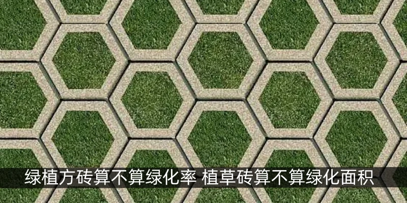 绿植方砖算不算绿化率 植草砖算不算绿化面积