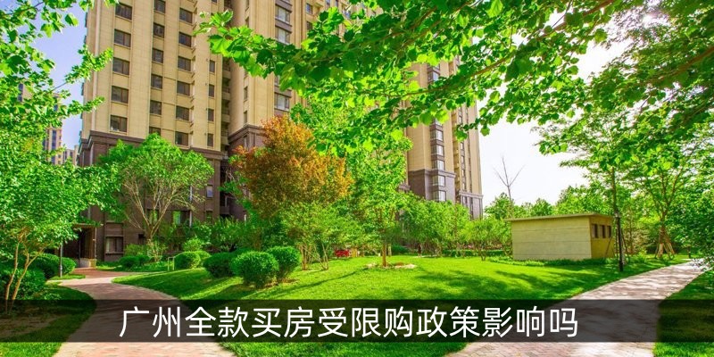 广州全款买房受限购政策影响吗