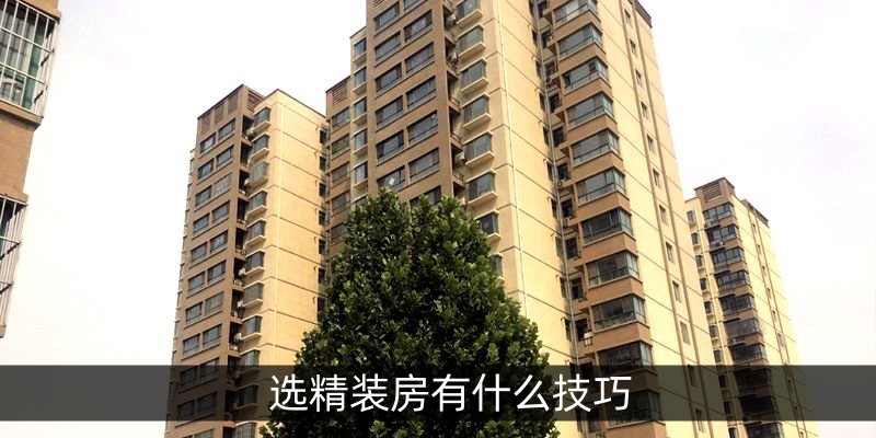 选精装房有什么技巧