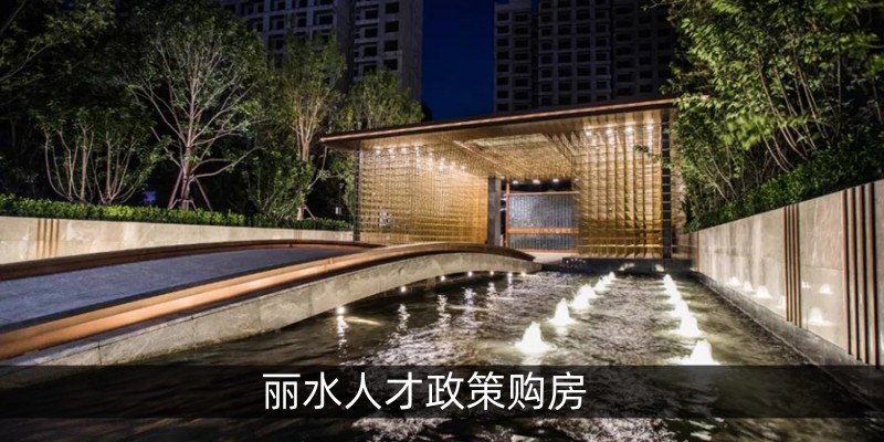 丽水人才政策购房