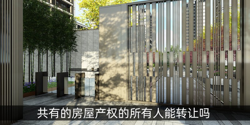 共有的房屋产权的所有人能转让吗