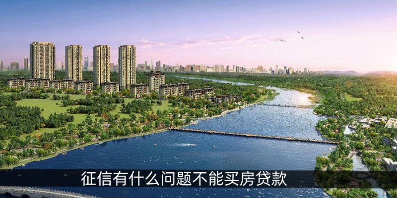 征信有什么问题不能买房贷款