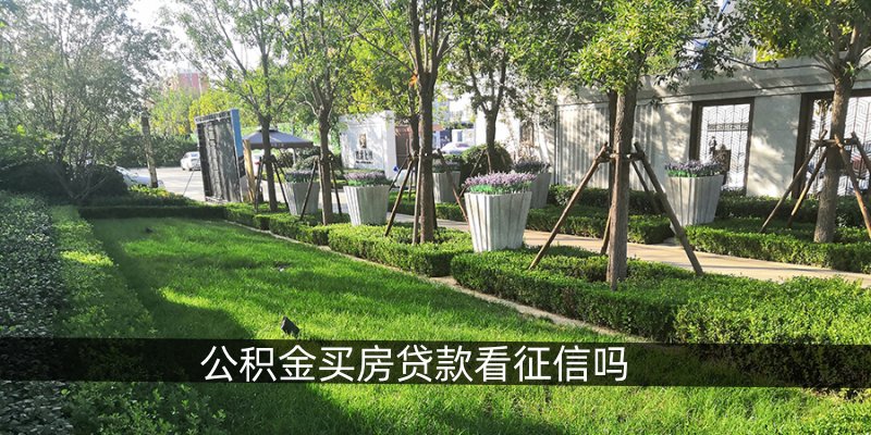 公积金买房贷款看征信吗