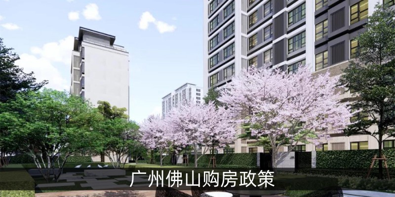 广州佛山购房政策