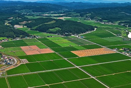 涿州码头镇要征地修建开元路了涉及6个村庄