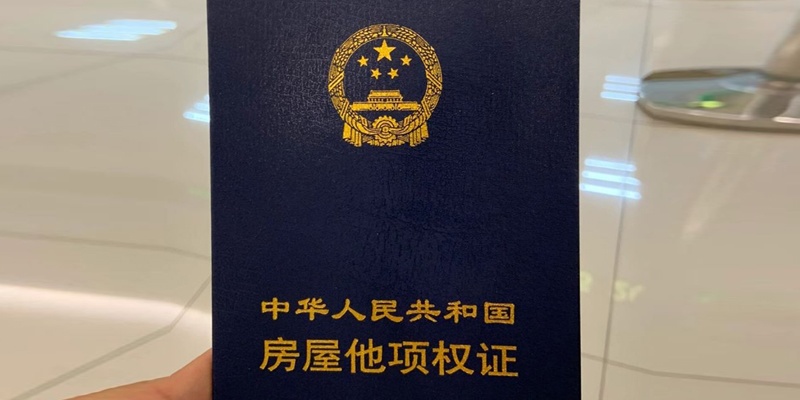 他项权证